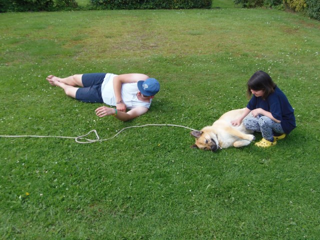 ../fotos/het_verlaat_2017/2017-07-10 11.44.09.jpg